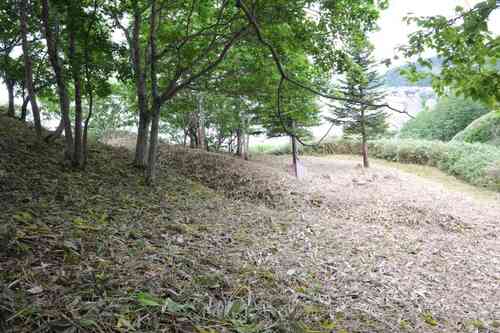 タチニウス川北岸チャシ跡